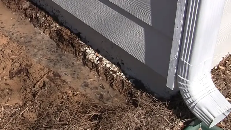 Termite Treatment and Inspection in Owasso